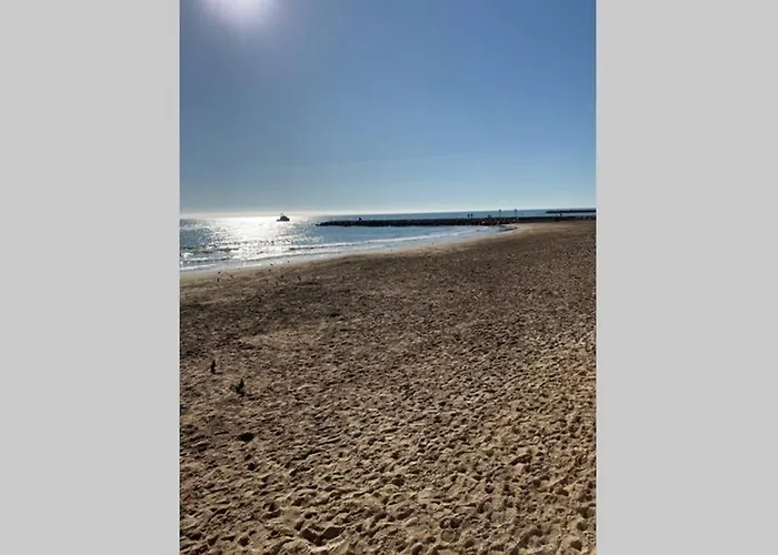 Vive La Playa Y La Noche De Aqui